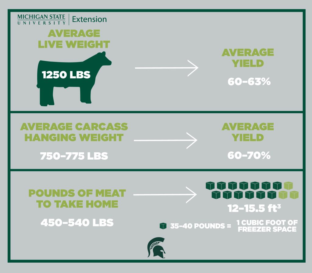 Beef Yields and Storage Needs | The Meat Locker